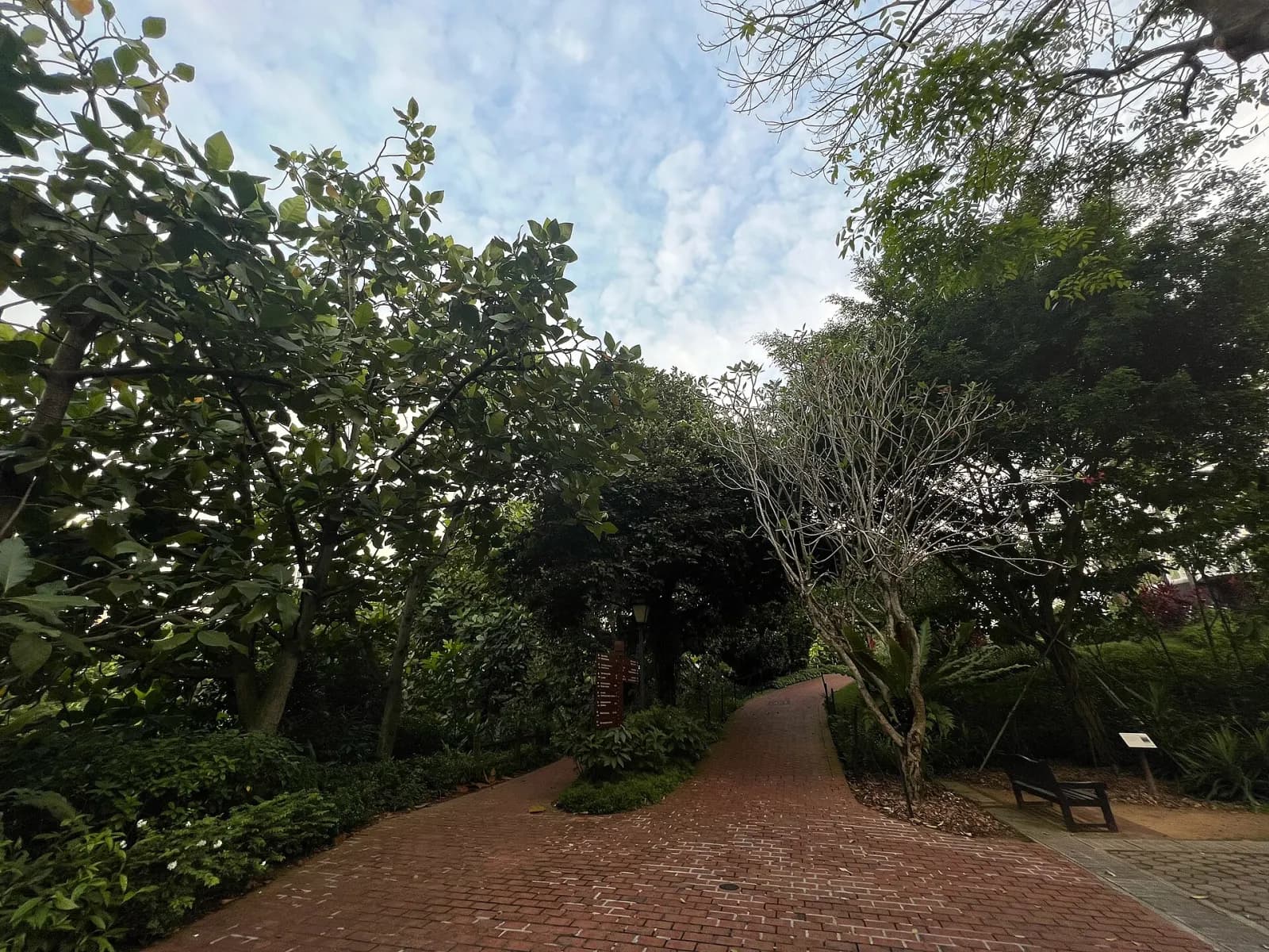 A tree-lined footpath in Fort Canning Park near Hill Street and Raffles Garden.