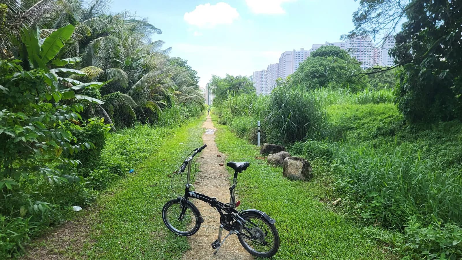 A bike ride on Singapore’s Rail Corridor.