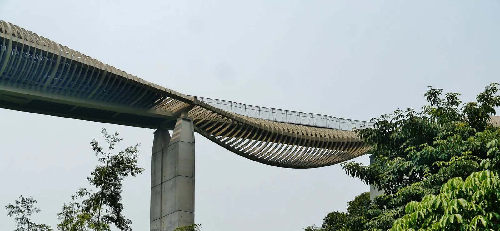 Henderson Waves pedestrian bridge on the Southern Ridges in Singapore.