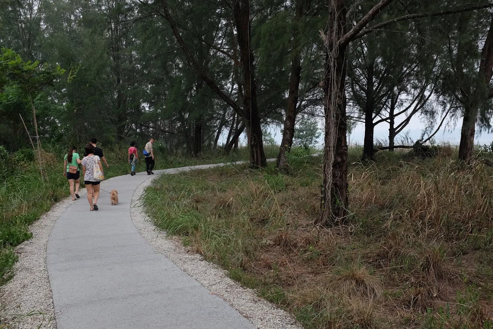 Path on Coney Island, also known as Pulau Serangoon, leading toward the promenade.