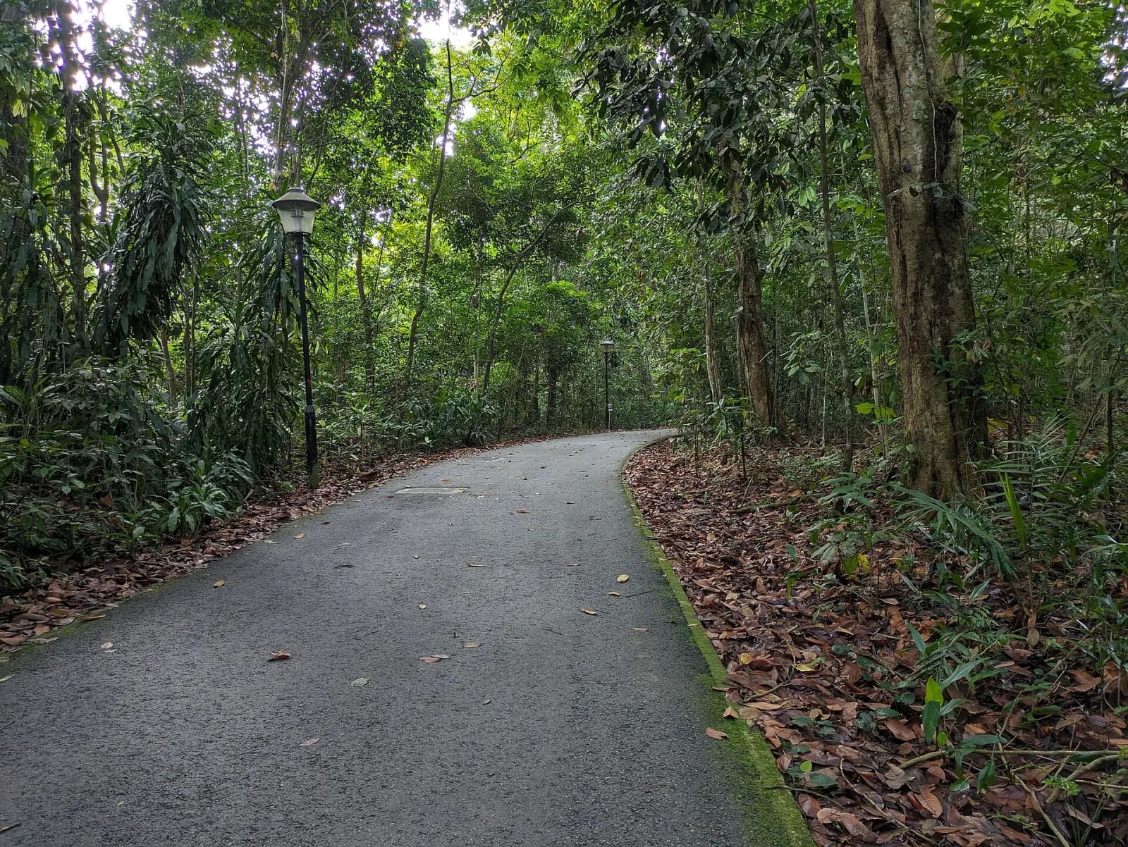 Wallace Trail in Dairy Farm Nature Park.