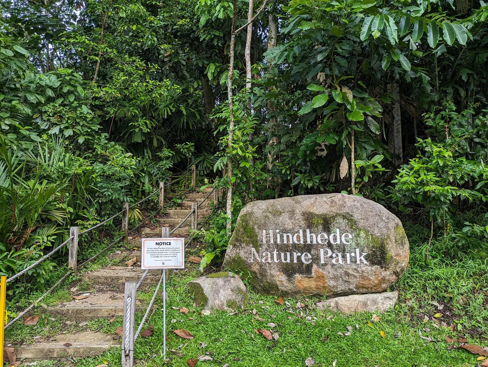 A path and vegetation inside Hindhede Nature Park.