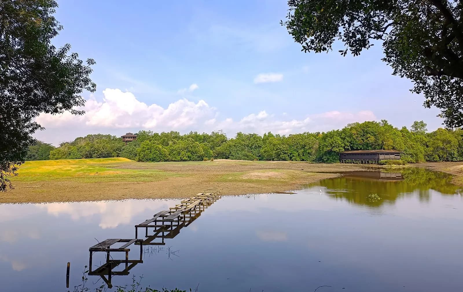 Mangrove and wetland landscape at Sungei Buloh Wetland Reserve.