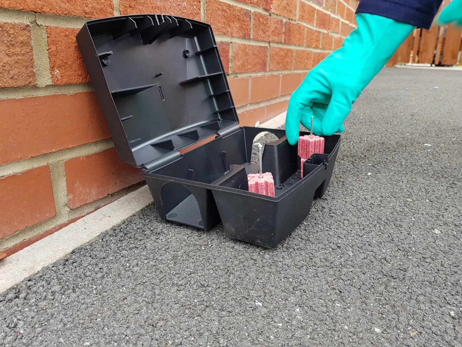 A rodent bait box opened to show the bait inside.