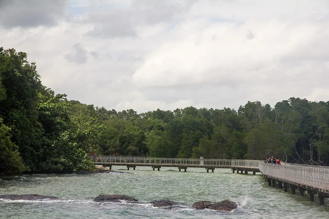 The coastal boardwalk crossing the wetlands at Chek Jawa on Pulau Ubin.