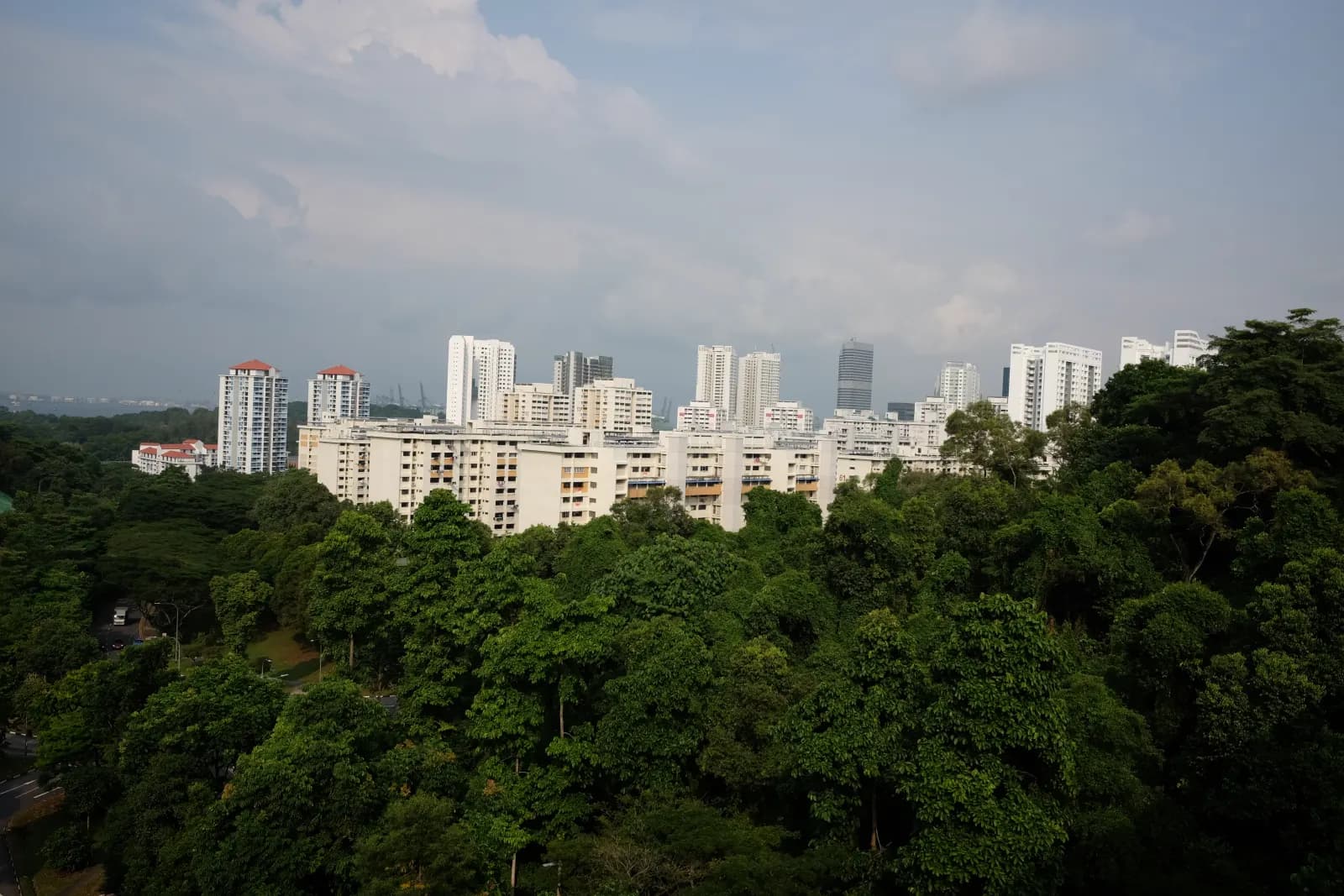 A green urban view from Henderson Waves in Singapore.